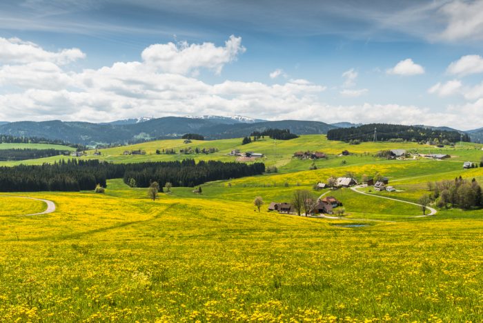 Feldberg