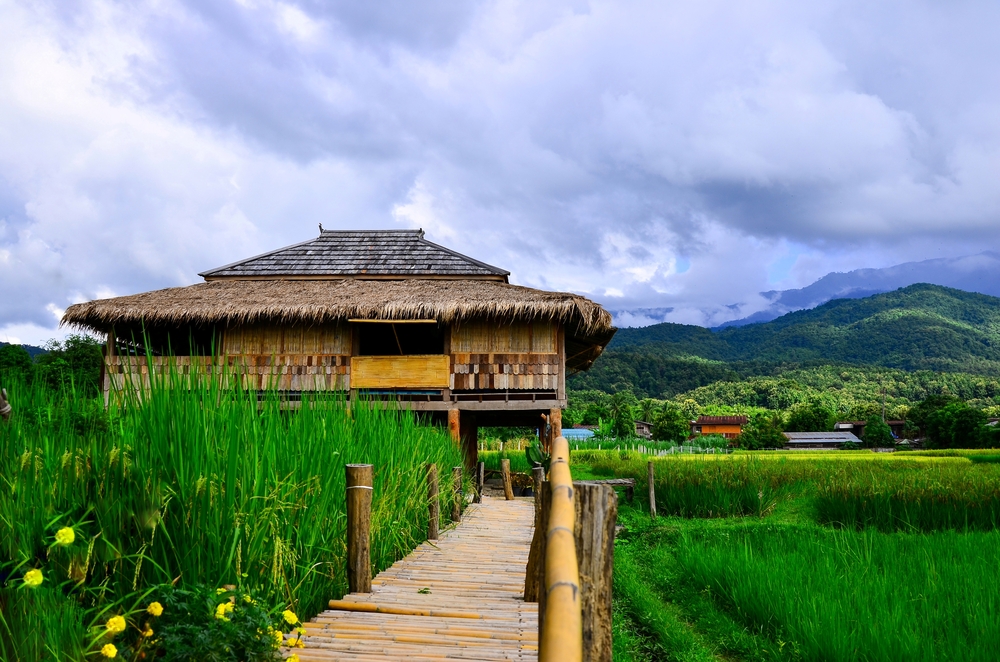 โรงเรียนชาวนาศิลาเพชร
